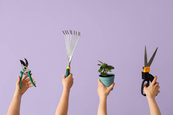 Frauen mit Gartengeräten und Pflanzen auf fliederfarbenem Hintergrund - Foto, Bild