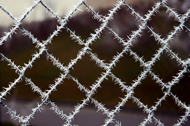 Needle crystals of ice, frost covered the mesh fence - Zdjęcie, obraz