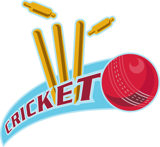 Cricket-Sportballkorb - Foto, Bild