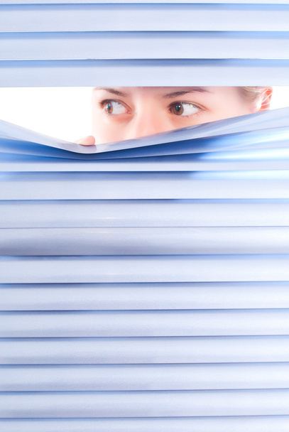 Looking trough blinds - Zdjęcie, obraz