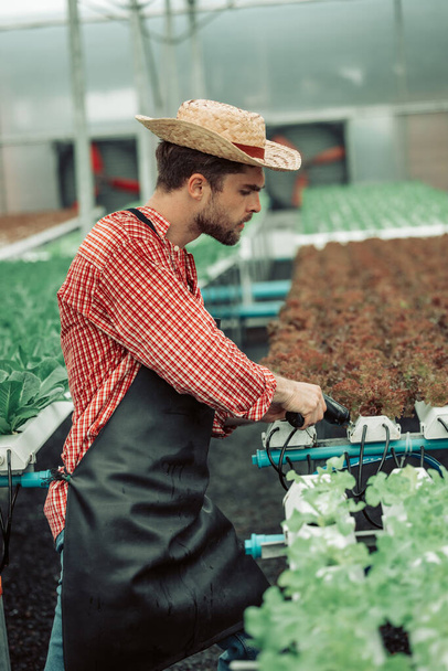 The hydroponic farm owner conducts technical inspection using handy tools to secure, perform maintenance on the water spout, ensuring its standard condition and flow for improved farming efficiency. - Foto, afbeelding