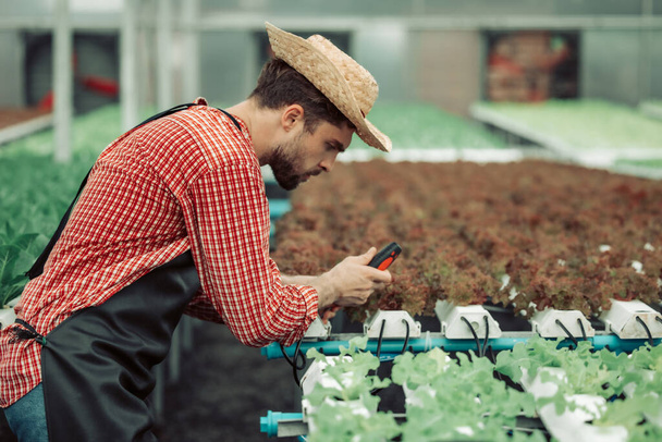 The hydroponic farm owner conducts technical inspection using handy tools to secure, perform maintenance on the water spout, ensuring its standard condition and flow for improved farming efficiency. - Foto, imagen
