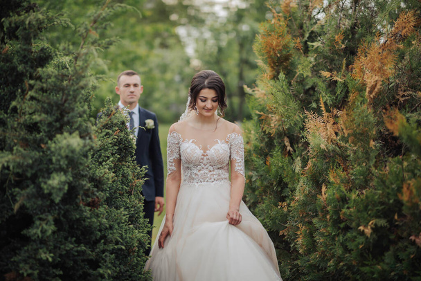 Wedding Portrait of the bride and groom in nature. A stylish groom stands behind the bride, in the garden near the trees. Beautiful lace veil and lace dress. Holiday concept - Foto, afbeelding