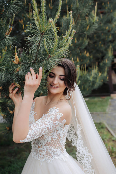 Wedding portrait. A brunette bride in a lace veil and a white dress with lace sleeves poses near a coniferous tree. Open shoulders of the bride. Photo session in nature. - Foto, Imagem