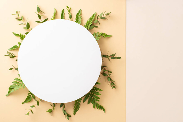 Tenderness of fresh greenery concept. Top view picture of empty circle surrounded by eucalyptus and bracken branches on isolated beige and white background with copy-space - Фото, изображение