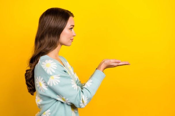 Profile portrait of nice pretty girl look arms palms hold empty space isolated on yellow color background. - Foto, immagini