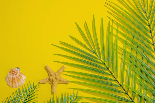 Zomervakantie concept. Marine decor, palm en monstera bladeren. Heldere gele achtergrond, hard licht, donkere schaduw, platte lay, bovenaanzicht - Foto, afbeelding