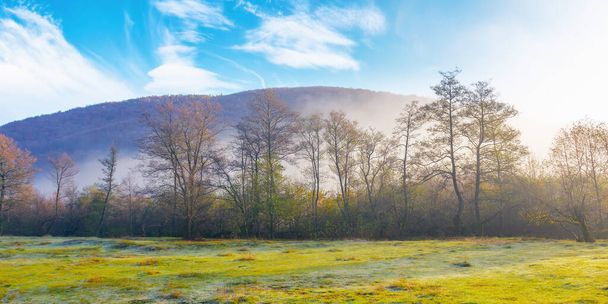 countryside landscape in mountains at sunrise. fog rolling in the rural valley among the trees on a grassy meadow in morning light. wonderful autumn nature scenery on a sunny weather day - Foto, afbeelding