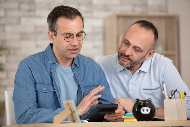 mature male couple doing some financial calculations - Photo, image
