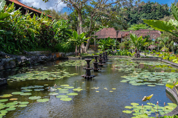Στον κήπο του υδάτινου παλατιού "Tirta Gangga" στο Μπαλί - Φωτογραφία, εικόνα
