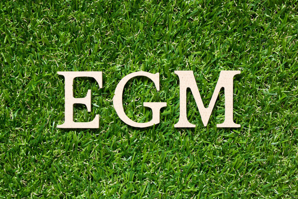 Legno alfabeto lettera in parola EGM (Abbreviazione dell'Assemblea Generale Straordinaria) su sfondo erba verde artificiale - Foto, immagini