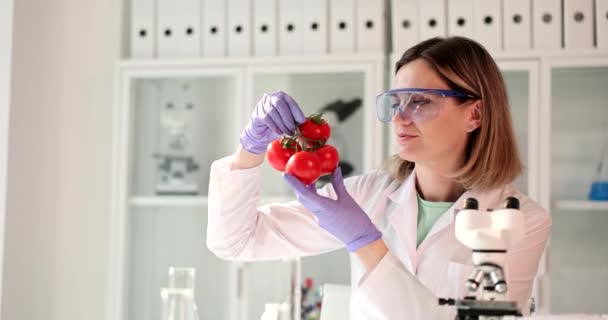 Laboratuvardaki kadın bilim adamı domatesleri inceliyor. Sebzelerde nitrat ve toksinler - Video, Çekim