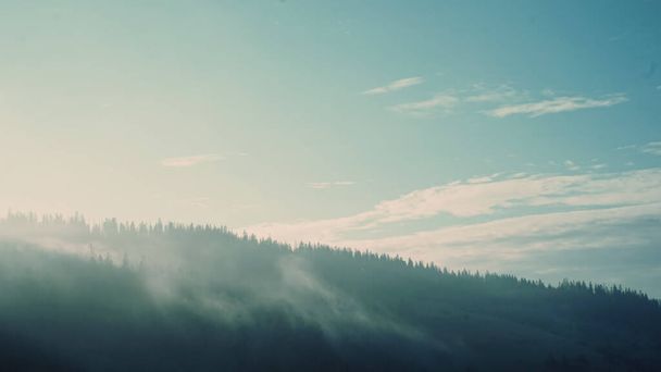 Καρπάθια βουνά με ομίχλη το ξημέρωμα. - Φωτογραφία, εικόνα