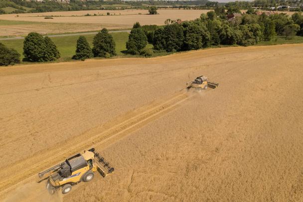 Урожай пшеницы занят для фермеров, так как они используют комбайны для сбора урожая.. - Фото, изображение
