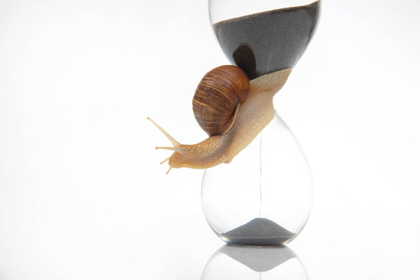 hourglass on a white background. The concept of slow time. Speed of time in a day - Photo, Image