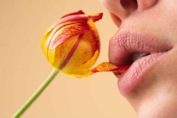 Plump lips. Natural lips with tulip. Sexy woman mouth on tulip, macro lip. Caring and tenderness. Closeup beautiful lips with tulips flower. Sexy lips stick. Sensual lip touch, balm lipstick - Valokuva, kuva