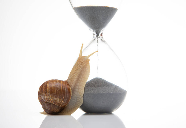 hourglass on a white background. The concept of slow time. Speed of time in a day - Photo, Image