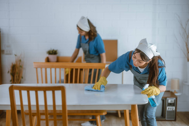 Enthusiastic house cleaning lady do various tasks with responsibility. Using mop, broom, laundry machine, cleaning supplies to wipe, scrub, and dust furniture, glassware, floors, clothes, dishes. - Foto, Bild