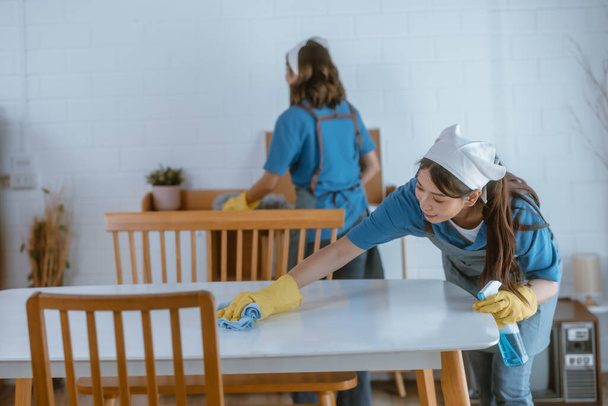 Enthusiastic house cleaning lady do various tasks with responsibility. Using mop, broom, laundry machine, cleaning supplies to wipe, scrub, and dust furniture, glassware, floors, clothes, dishes. - Foto, afbeelding