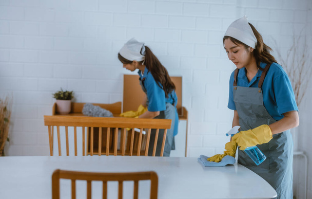 Enthusiastic house cleaning lady do various tasks with responsibility. Using mop, broom, laundry machine, cleaning supplies to wipe, scrub, and dust furniture, glassware, floors, clothes, dishes. - Photo, image