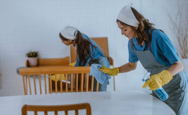 Enthusiastic house cleaning lady do various tasks with responsibility. Using mop, broom, laundry machine, cleaning supplies to wipe, scrub, and dust furniture, glassware, floors, clothes, dishes. - Photo, image