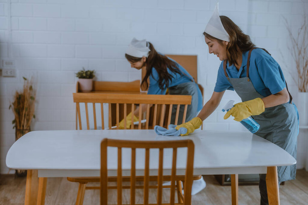 Enthusiastic house cleaning lady do various tasks with responsibility. Using mop, broom, laundry machine, cleaning supplies to wipe, scrub, and dust furniture, glassware, floors, clothes, dishes. - Fotó, kép