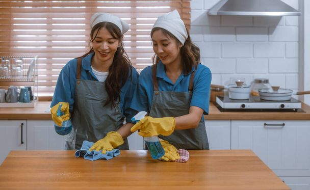 Enthusiastic house cleaning lady do various tasks with responsibility. Using mop, broom, laundry machine, cleaning supplies to wipe, scrub, and dust furniture, glassware, floors, clothes, dishes. - 写真・画像