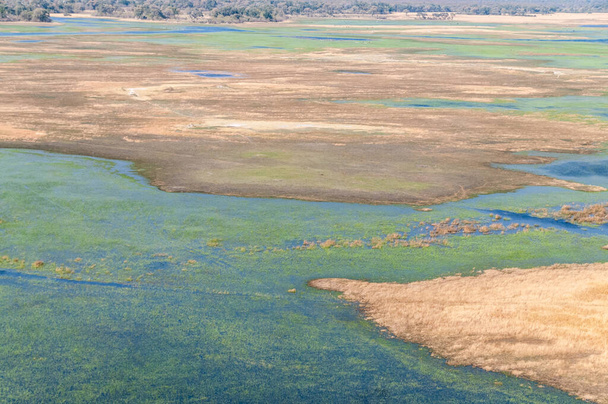 Ilmakuva Botswanan Okavangon suistosta helikopterista nähtynä. - Valokuva, kuva