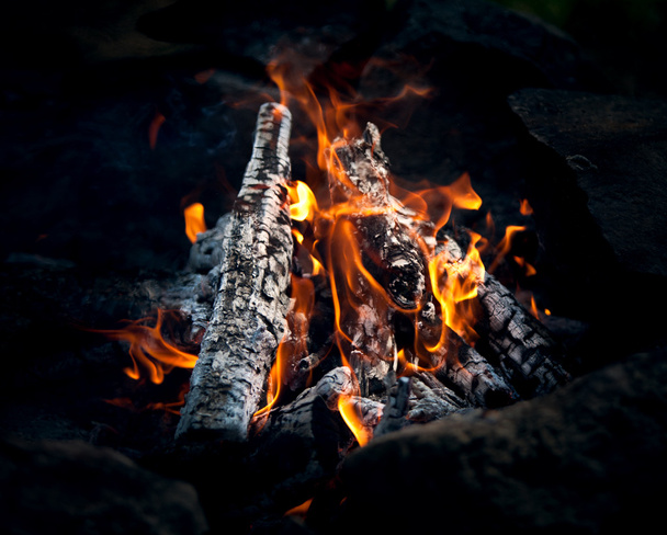 şenlik ateşi. sıcak kömürleri - Fotoğraf, Görsel