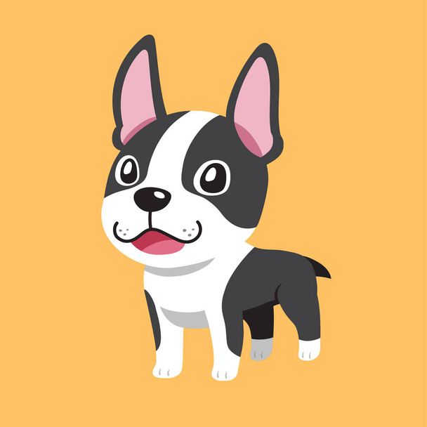 Vector cartoon cute boston terrier dog for design. - Vector, afbeelding