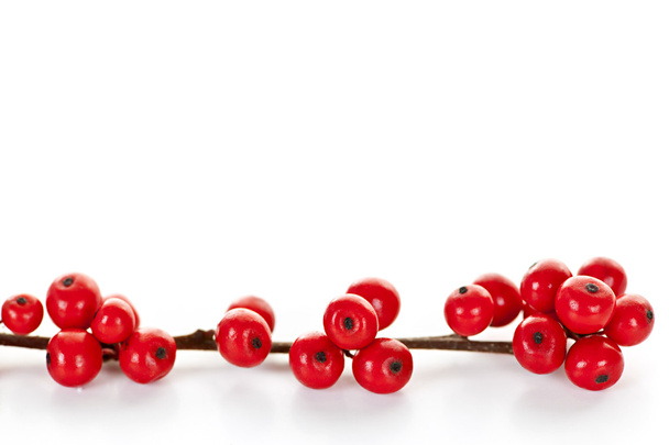 Red Christmas berries - Foto, Bild