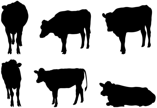六つの牛シルエット - ベクター画像