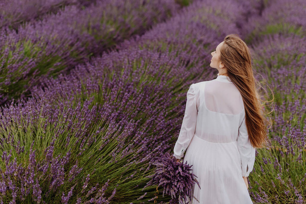 Young woman with bouquet in blooming lavender field. Female in white dress in fragrant lavender fields with endless rows. Back view of girl walking through bushes of lavender purple aromatic flowers. - Zdjęcie, obraz
