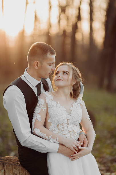 Wedding photo in nature. The groom sits on a wooden stand, the bride stands next to him, leaning on his shoulder. look at each other. Portrait of the bride and groom - 写真・画像