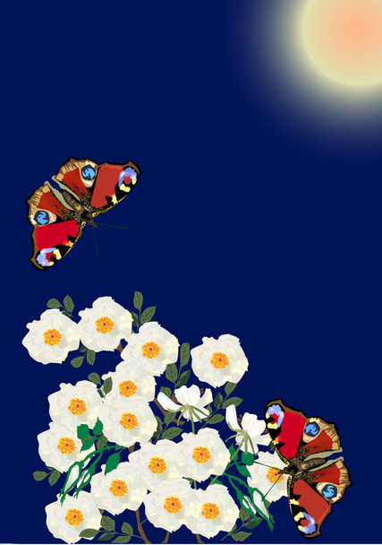 farfalle rosse e fiori bianchi brier
 - Vettoriali, immagini