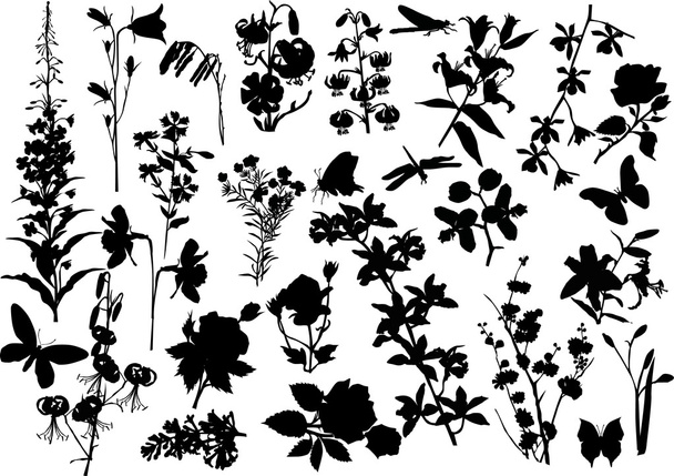 large set of flower silhouettes - Vector, Image