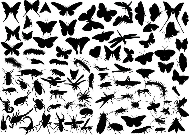 さまざまな昆虫の巨大なセット - ベクター画像