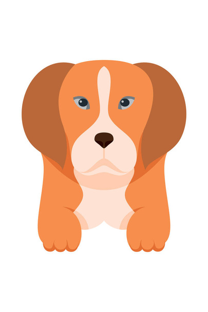 Cartoon puppy dogs breeds pets cute characters. Flat design of cute dogs and puppies vector illustration. - Vector, Imagen