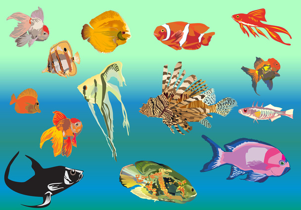 collezione di pesci esotici su sfondo blu
 - Vettoriali, immagini