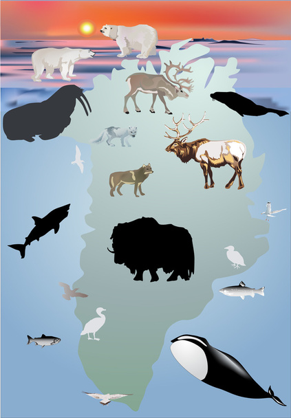 Grönland hayvan koleksiyonu illüstrasyon - Vektör, Görsel