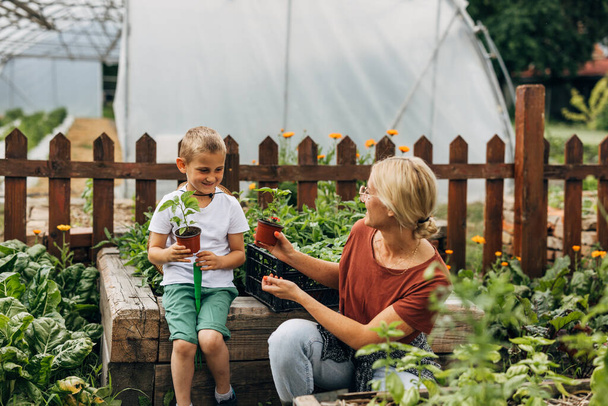 Mother and son have fun gardening together. - Photo, Image