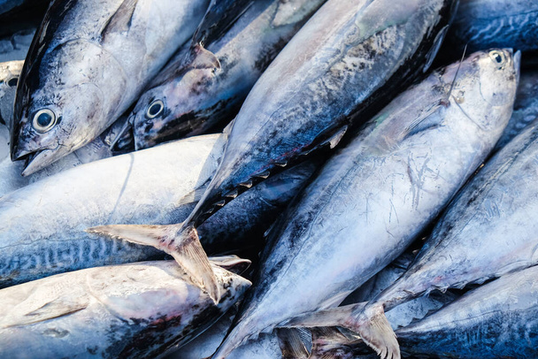伝統的なアナル漁業市場で冷凍販売されている新鮮なマグロ魚｜オメガフード - 写真・画像