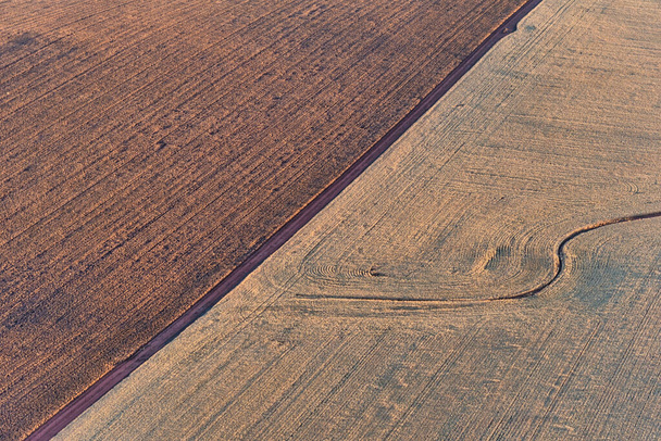 ノーザムWAの菜の花畑と小麦畑の空中風景 - 写真・画像