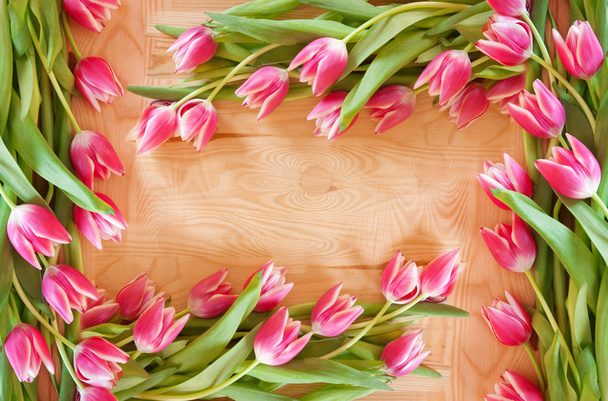 roze tulpen achtergrond. - Foto, afbeelding