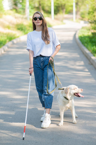 Blind woman walking with guide dog in the park - Foto, Imagen