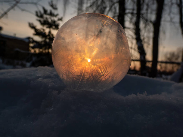 Макросъемка круглого, замороженного мыльного пузыря, образующего красивый лист и дерево, похожий на рисунок во время замерзания в очень низких температурах зимой с красивым золотым закатом на заднем плане - Фото, изображение