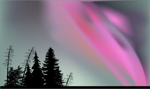 siluetas de árboles bajo aurora
 - Vector, Imagen
