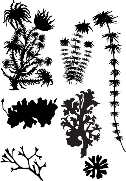 Moss silhouetten geïsoleerd op wit - Vector, afbeelding