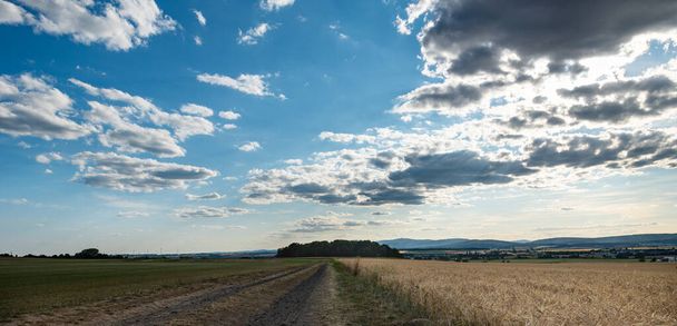 Germany, Hessen, Wetterau - 07. July 2023: Agriculture path with ripe wheat field on the right and, ready to harvest. Blue sky with clouds. Trees and bushes and the hills from the Taunus in the background.  - Foto, immagini