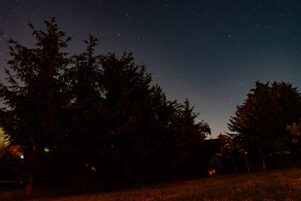 nuit avec des étoiles dans les bois - Photo, image